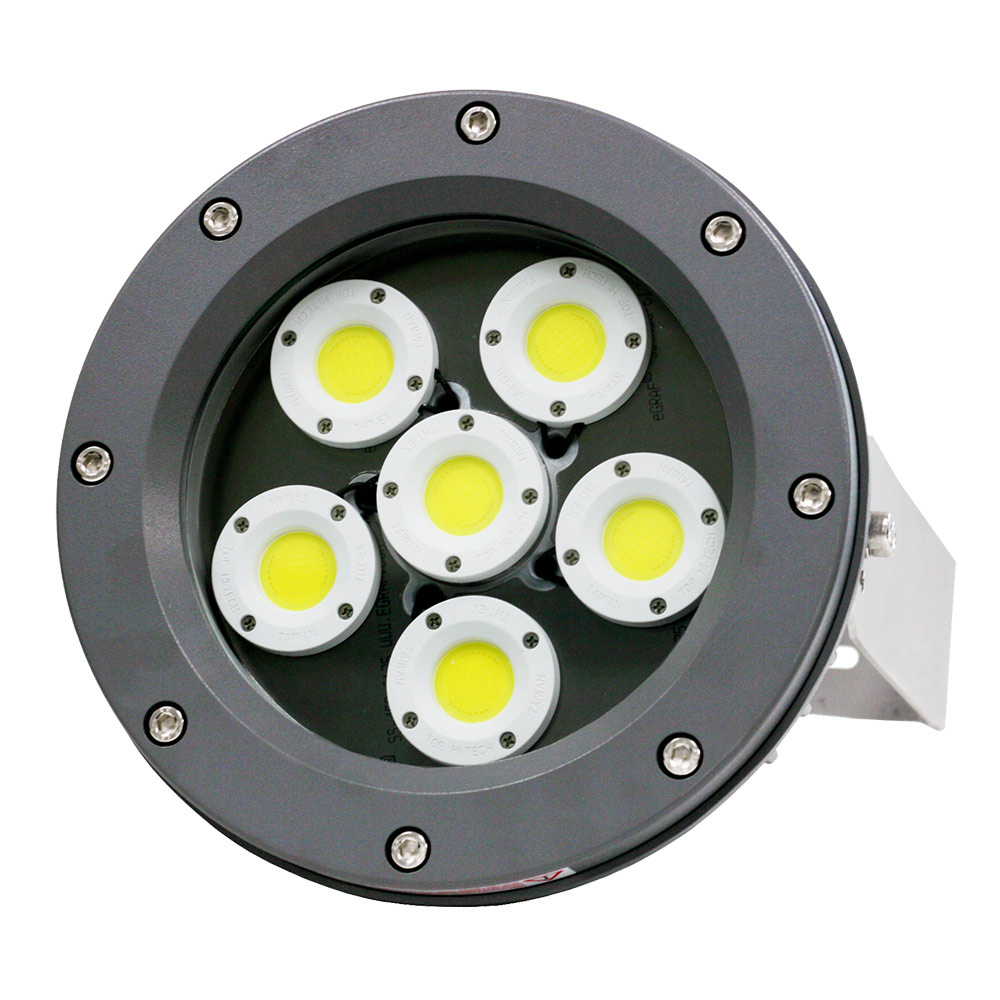 New Light NE - Industrial LED Lighting - Delta Explosion Proof High Bay