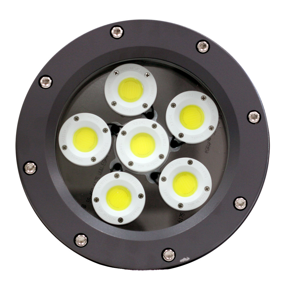 New Light NE - Delta Explosion Proof High Bay